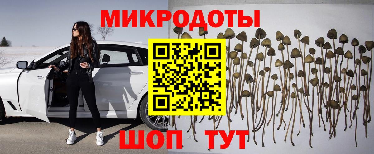 Галлюциногенные грибы Magic Shrooms  Вход с VPN  Галлюциногенные грибы Psilocybine cubensis  Шадринск 